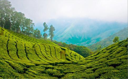 ホテルMunnar Dreams エクステリア 写真